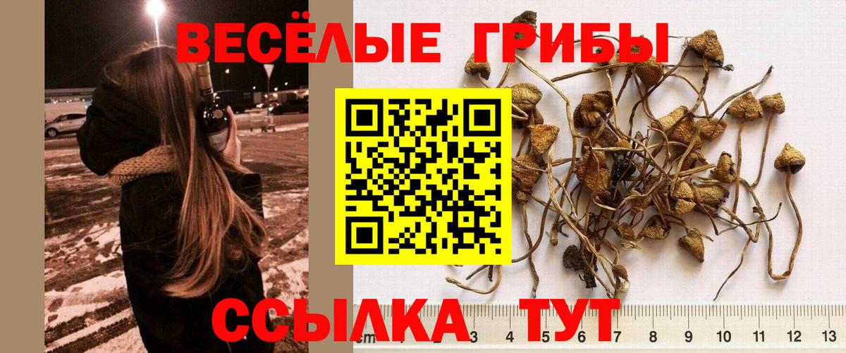Галлюциногенные грибы Cubensis  Псилоцибиновые грибы мухоморы  Менделеевск  Вход с VPN 